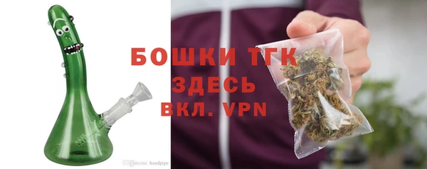 дмт Магас