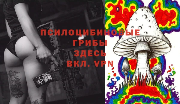 дмт Магас
