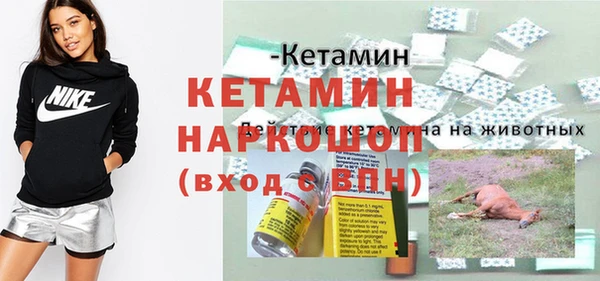 дмт Магас