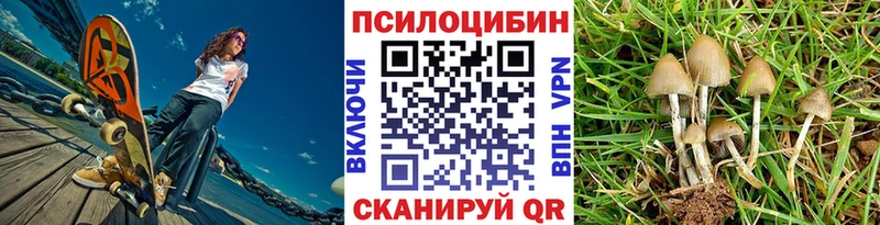 Псилоцибиновые грибы ЛСД  Купить где  Анадырь 